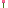 double_plant_paeonia_bottom.png