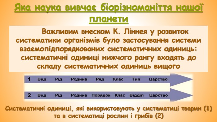 Яка наука вивчає біорізноманіття нашої планети. Важливим внеском К. Ліннея у розвиток систематики організмів було застосування системи взаємопідпорядкованих систематичних одиниць: систематичні одиниці нижчого рангу входять до складу систематичних одиниць вищого. Систематичні одиниці, які використовують у систематиці тварин (1) та в систематиці рослин і грибів (2)