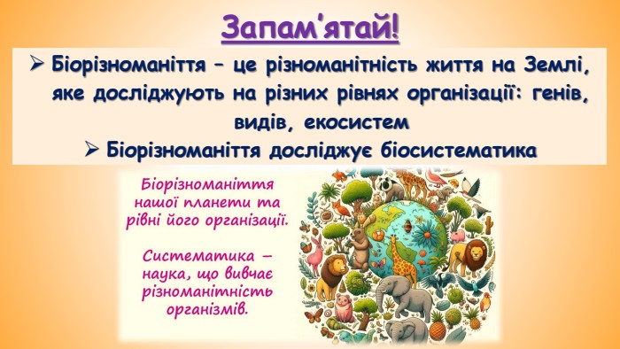Біорізноманіття – це різноманітність життя на Землі, яке досліджують на різних рівнях організації: генів, видів, екосистем Біорізноманіття досліджує біосистематика. Запам’ятай!