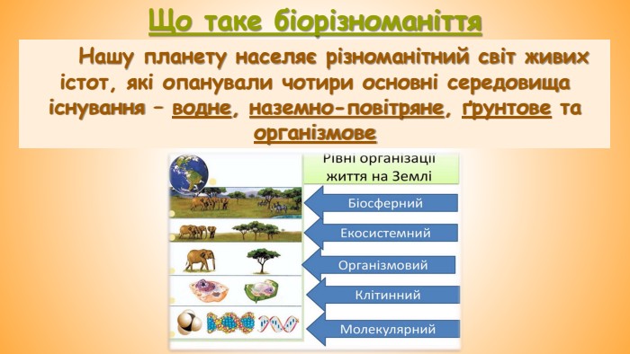 Що таке біорізноманіття. Нашу планету населяє різноманітний світ живих істот, які опанували чотири основні середовища існування – водне, наземно-повітряне, ґрунтове та організмове