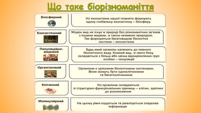 Що таке біорізноманіття