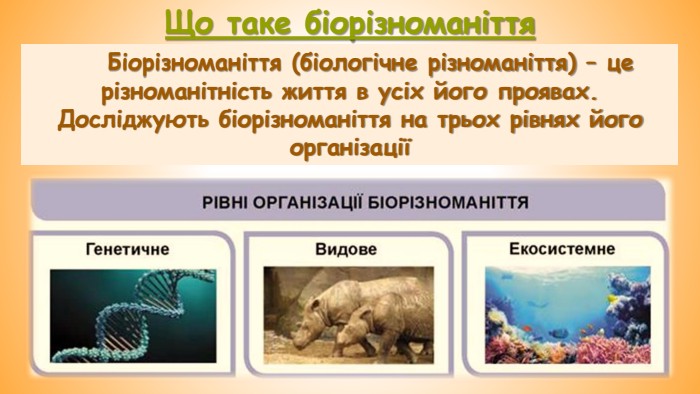 Що таке біорізноманіття. Біорізноманіття (біологічне різноманіття) – це різноманітність життя в усіх його проявах. Досліджують біорізноманіття на трьох рівнях його організації 