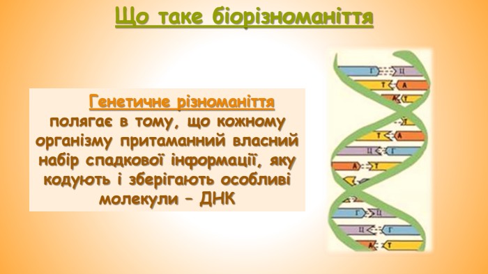 Що таке біорізноманіття. Генетичне різноманіття полягає в тому, що кожному організму притаманний власний набір спадкової інформації, яку кодують і зберігають особливі молекули – ДНК