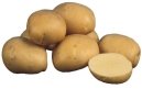 Картинки по запросу картопля фото