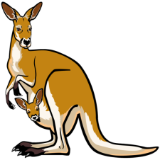 http://www.revolutionevents.co/wp-content/uploads/2017/01/Unique-Kangaroo-Clipart-97-For-Your-Coloring-Print-with-Kangaroo-Clipart.jpg