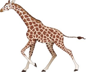 http://4vector.com/i/free-vector-50-animal-models-and-silhouette-vector_026750_jpeg/AN01013C.jpg