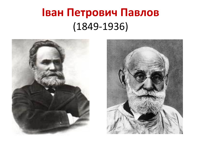 Іван Петрович Павлов(1849-1936)