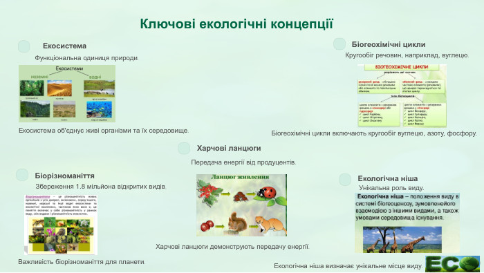 Ключові екологічні концепціїЕкосистема. Функціональна одиниця природи. Біогеохімічні цикли. Кругообіг речовин, наприклад, вуглецю. Харчові ланцюги. Передача енергії від продуцентів. Екологічна ніша. Унікальна роль виду. Біорізноманіття. Збереження 1.8 мільйона відкритих видів. Біогеохімічні цикли включають кругообіг вуглецю, азоту, фосфору. Харчові ланцюги демонструють передачу енергії. Екологічна ніша визначає унікальне місце виду. Важливість біорізноманіття для планети. Екосистема об'єднує живі організми та їх середовище.