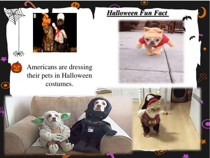 Americans are dressing their pets in Halloween costumes. Halloween Fun Fact 