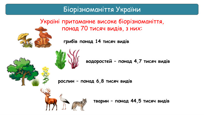 Біорізноманіття України. Україні притаманне високе біорізноманіття, понад 70 тисяч видів, з них:грибів понад 14 тисяч видівводоростей – понад 4,7 тисяч видіврослин – понад 6,8 тисяч видівтварин – понад 44,5 тисяч видів