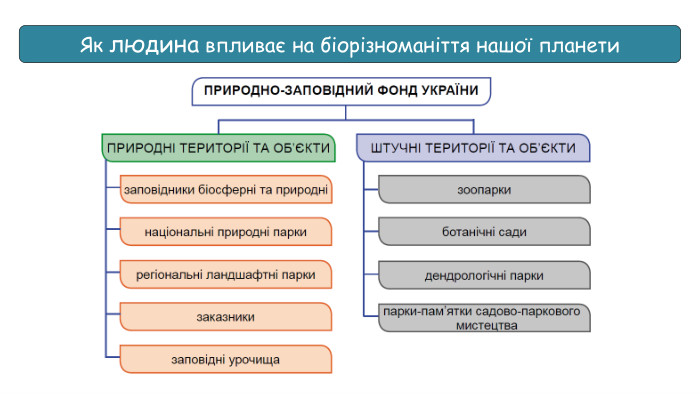 Як людина впливає на біорізноманіття нашої планети