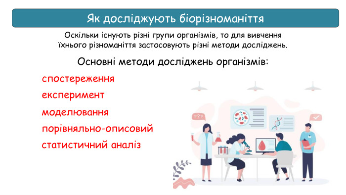 Як досліджують біорізноманіття. Оскільки існують різні групи організмів, то для вивчення їхнього різноманіття застосовують різні методи досліджень.спостереження Основні методи досліджень організмів:експериментмоделювання порівняльно-описовийстатистичний аналіз
