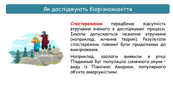 Як досліджують біорізноманіття. Спостереження передбачає відсутність втручання вченого в досліджувані процеси. Інколи допускається незначне втручання (наприклад, мічення тварин). Результати спостережень повинні бути придатними до вимірювання. Наприклад, зоологи виявили в річці Південний Буг популяцію сонячного окуня – виду із Північної Америки, популярного об’єкта акваріумістики.
