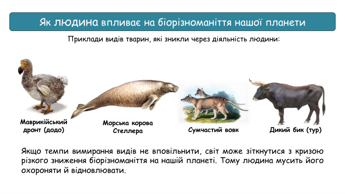 Як людина впливає на біорізноманіття нашої планети. Якщо темпи вимирання видів не вповільнити, світ може зіткнутися з кризою різкого зниження біорізноманіття на нашій планеті. Тому людина мусить його охороняти й відновлювати. Приклади видів тварин, які зникли через діяльність людини: Дикий бик (тур)Маврикійський дронт (додо)Сумчастий вовк. Морська корова Стеллера