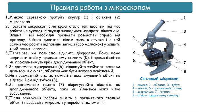 Правила роботи з мікроскопом1. М'якою серветкою протріть окуляр (1) і об'єктив (2) мікроскопа.2. Поставте мікроскоп біля краю стола так, щоб він під час роботи не рухався, а окуляр знаходився навпроти лівого ока. Зошит і всі необхідні предмети розмістіть справа від приладу. Вчіться дивитись лівим оком в окуляр і в той самий час робити відповідні записи (або малюнок) у зошиті, який лежить справа.3. Перевірте, чи повністю відкрита діафрагма. Вона може закривати отвір у предметному столику (5), і промені світла не проходитимуть крізь досліджуваний об'єкт.4. За допомогою дзеркальця (6) налаштуйте «зайчик»: коли ви дивитесь в окуляр, об'єктив має бути яскраво освітлений.5. На предметний столик помістіть досліджуваний об'єкт на відстані 1 см від тубуса (3).6. За допомогою гвинта (7) відрегулюйте відстань до досліджуваного об'єкта, поки не з'явиться його чітке зображення.7. Після закінчення роботи зніміть з предметного столика об'єкт і переведіть мікроскоп у неробоче положення. Світловий мікроскоп134782561	- окуляр; 2 - об'єктив; 3 - тубус;4	- штатив; 5 - предметний столик;6	- дзеркальце; 7 - гвинти;8	- отвір у предметному столику.