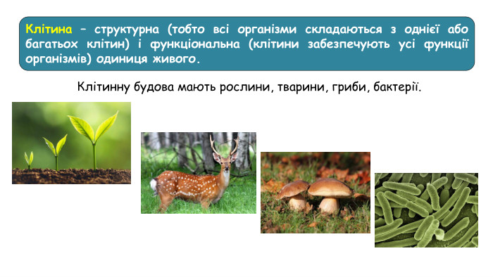 Клітина – структурна (тобто всі організми складаються з однієї або багатьох клітин) і функціональна (клітини забезпечують усі функції організмів) одиниця живого. Клітинну будова мають рослини, тварини, гриби, бактерії. 