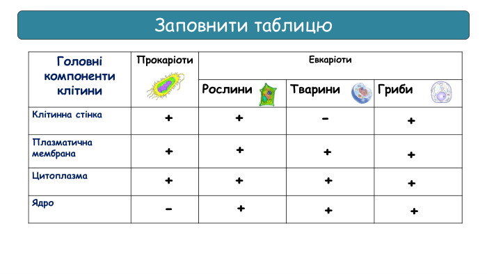 {5940675 A-B579-460 E-94 D1-54222 C63 F5 DA}Головні компоненти клітини. Прокаріоти. Евкаріоти Рослини. Тварини. Гриби. Клітинна стінка. Плазматична мембрана. Цитоплазма. Ядро. Заповнити таблицю++++++++++++++--