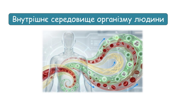 Внутрішнє середовище організму людини 