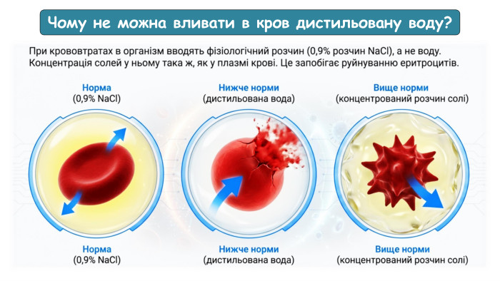 Чому не можна вливати в кров дистильовану воду? 