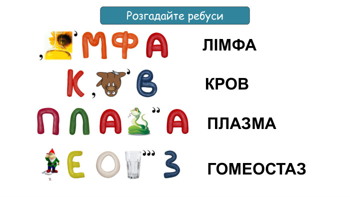 Розгадайте ребуси. ЛІМФАКРОВПЛАЗМАГОМЕОСТАЗ