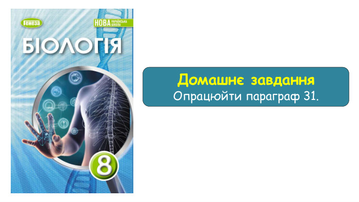 Домашнє завдання Опрацюйти параграф 31.