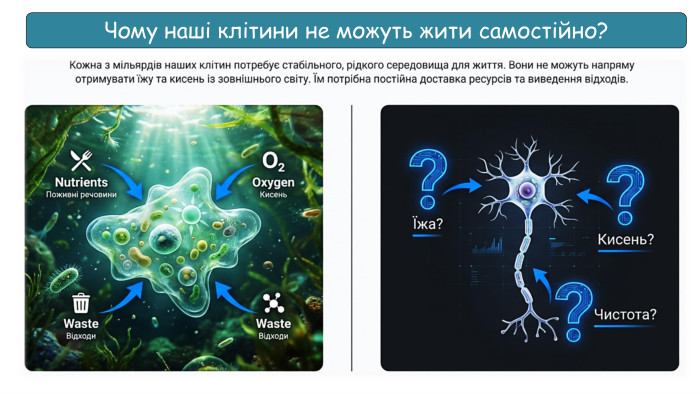 Чому наші клітини не можуть жити самостійно?