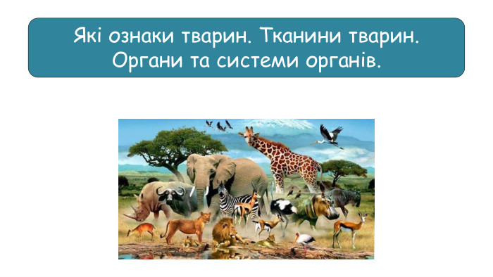 Які ознаки тварин. Тканини тварин. Органи та системи органів.