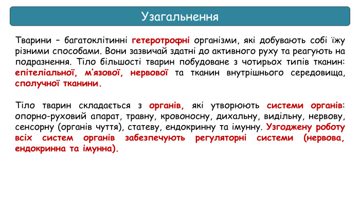 Узагальнення. Тварини – багатоклітинні гетеротрофні організми, які добувають собі їжу різними способами. Вони зазвичай здатні до активного руху та реагують на подразнення. Тіло більшості тварин побудоване з чотирьох типів тканин: епітеліальної, м’язової, нервової та тканин внутрішнього середовища, сполучної тканини. Тіло тварин складається з органів, які утворюють системи органів: опорно-руховий апарат, травну, кровоносну, дихальну, видільну, нервову, сенсорну (органів чуття), статеву, ендокринну та імунну. Узгоджену роботу всіх систем органів забезпечують регуляторні системи (нервова, ендокринна та імунна).