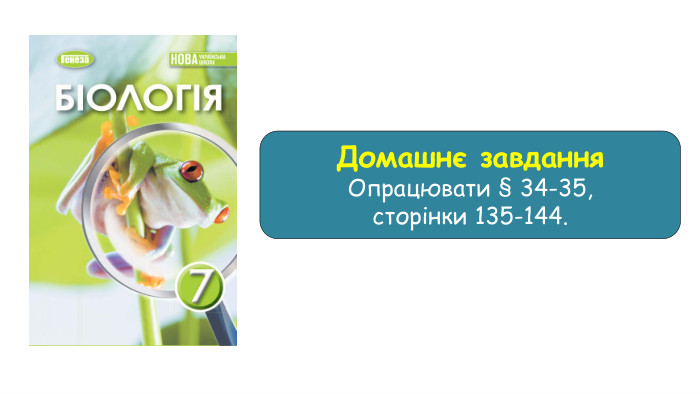 Домашнє завдання Опрацювати § 34-35, сторінки 135-144.