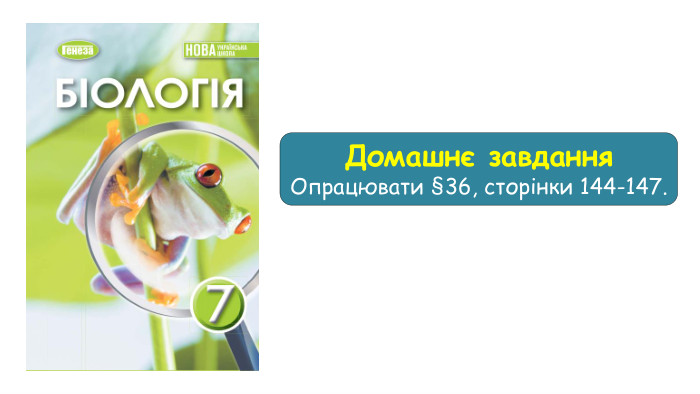 Домашнє завдання Опрацювати §36, сторінки 144-147.