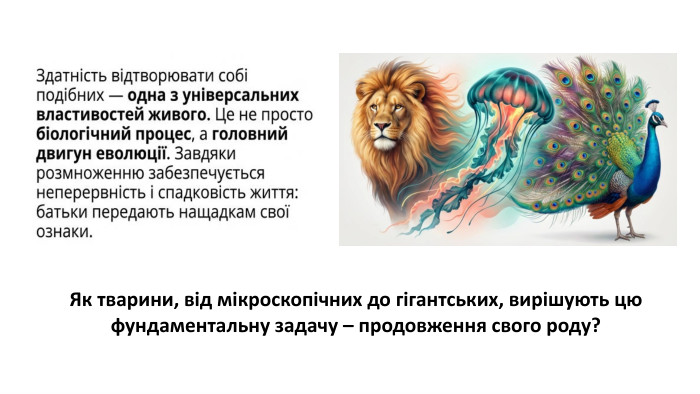 Як тварини, від мікроскопічних до гігантських, вирішують цю фундаментальну задачу – продовження свого роду?