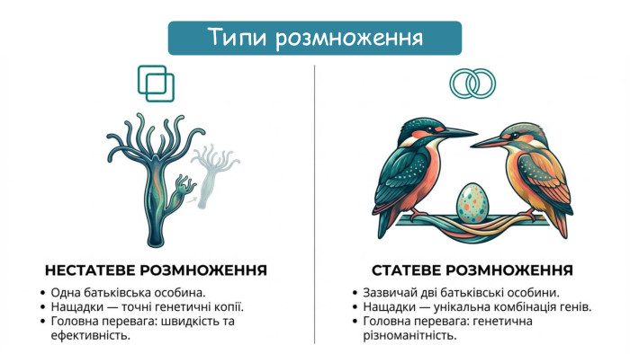 Типи розмноження