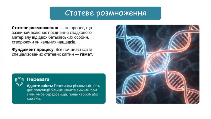 Статеве розмноження