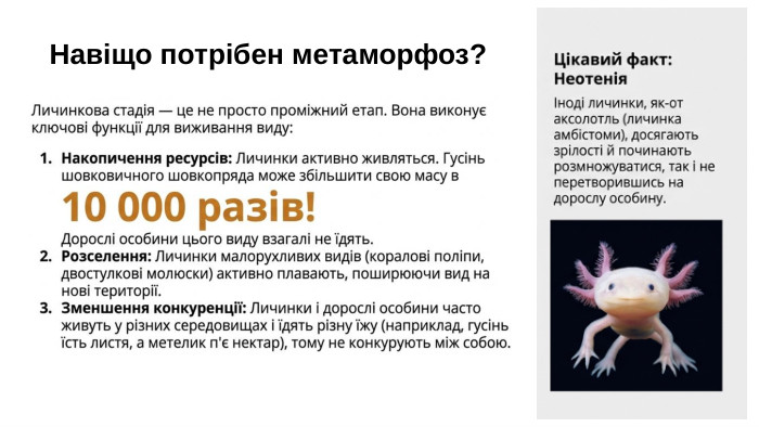 Навіщо потрібен метаморфоз?