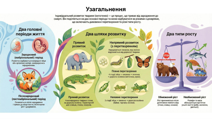 Узагальнення