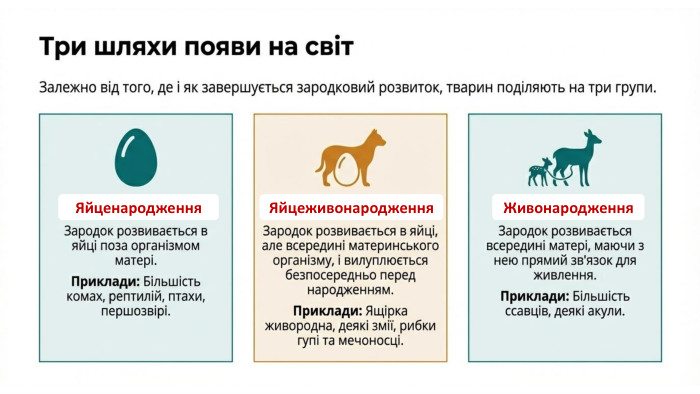 Яйценародження. Яйцеживонародження. Живонародження