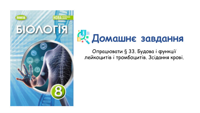 Домашнє завдання. Опрацювати § 33. Будова і функції лейкоцитів і тромбоцитів. Зсідання крові.