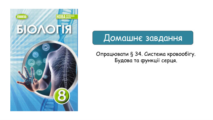 Домашнє завдання Опрацювати § 34. Система кровообігу. Будова та функції серця.