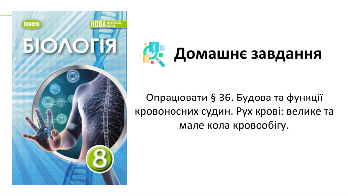 Опрацювати § 36. Будова та функції кровоносних судин. Рух крові: велике та мале кола кровообігу. Домашнє завдання