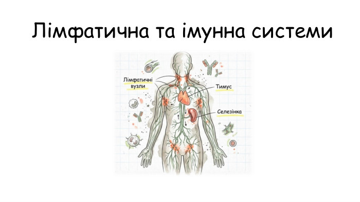 Лімфатична та імунна системи