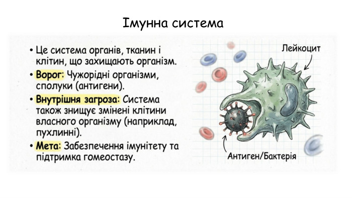 Імунна система