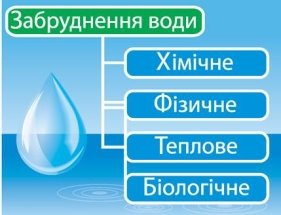 https://history.vn.ua/pidruchniki/anderson-biology-and-ecology-11-class-2019-standard-level/anderson-biology-and-ecology-11-class-2019-standard-level.files/image272.jpg