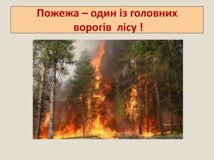 Пожежа – один із головних ворогів лісу !