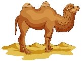 2017 год - год Верблюда. Год Верблюда по зороастрийскому календарю. —  Централизованная библиотечная система города Пскова