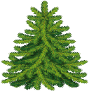Картинки по запросу клипарт ялинка | Christmas images, Fir tree, Tree