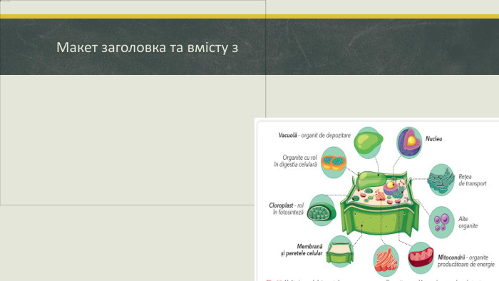 Макет заголовка та вмісту з