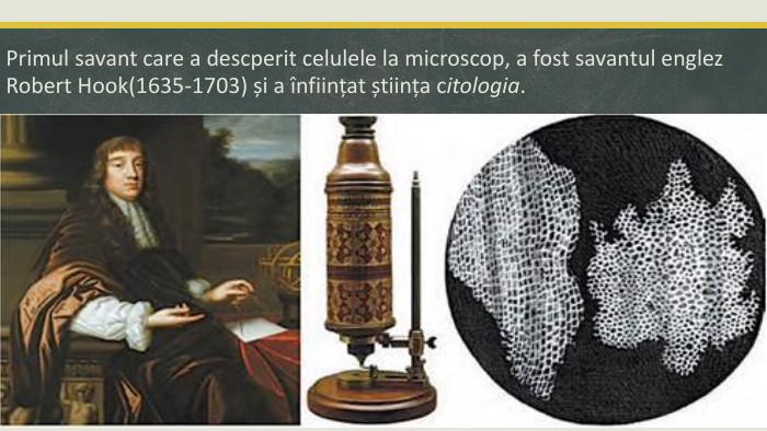 Primul savant care a descperit celulele la microscop, a fost savantul englez Robert Hook(1635-1703) și a înființat știința citologia.