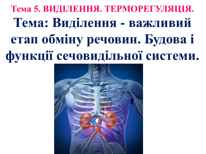Тема 5. ВИДІЛЕННЯ. ТЕРМОРЕГУЛЯЦІЯ. Тема: Виділення - важливий етап обміну речовин. Будова і функції сечовидільної системи.