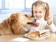 Картинки по запросу кормить собаку