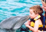 Дельфинотерапия в Испании. Испания по-русски - все о жизни в Испании